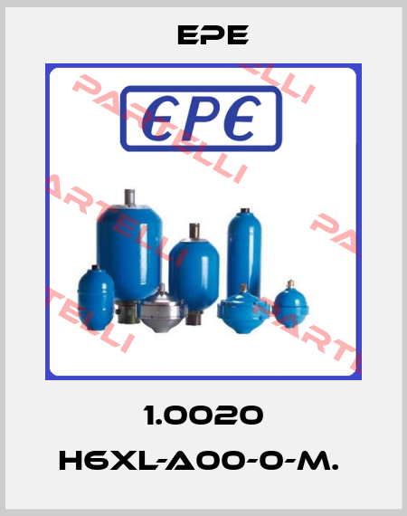 1.0020 H6XL-A00-0-M.  Epe