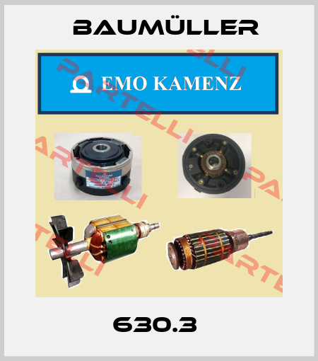 630.3  Baumüller