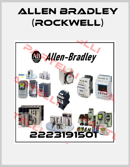 2223191501  Allen Bradley (Rockwell)