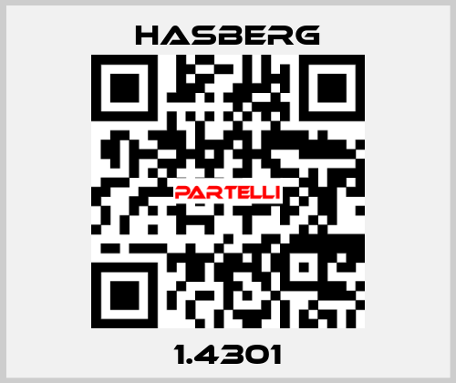 1.4301  Hasberg