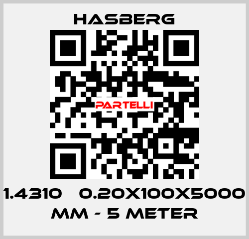 1.4310   0.20X100X5000 MM - 5 METER Hasberg