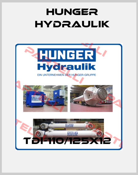 TDI-110/125x12  HUNGER Hydraulik