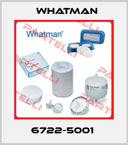 6722-5001  Whatman