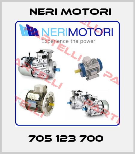705 123 700  Neri Motori