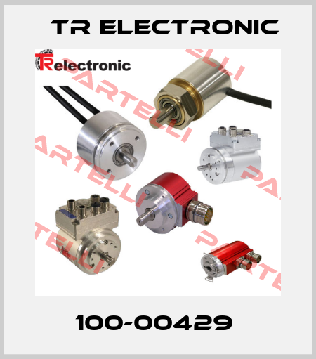 100-00429  TR Electronic