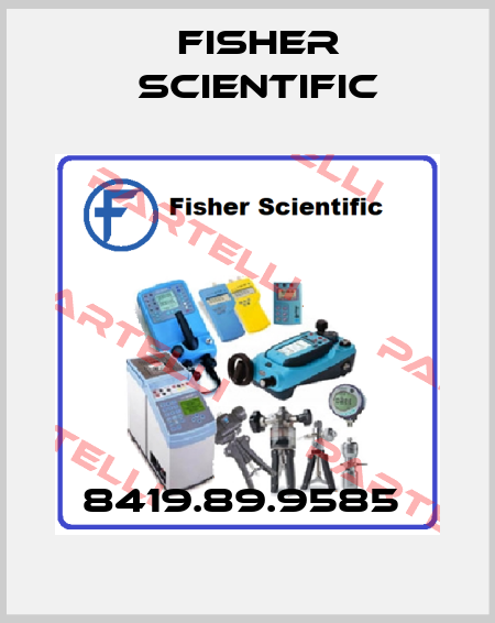 8419.89.9585  Fisher Scientific