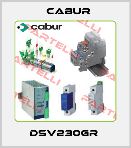 DSV230GR  Cabur
