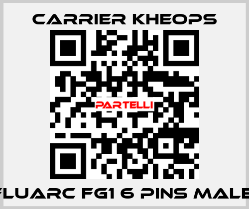  Fluarc FG1 6 Pins Male  Carrier Kheops
