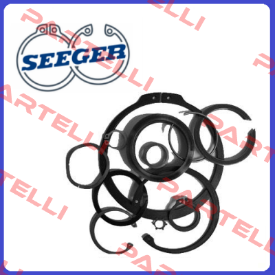 PS-010016-01  Seeger Orbis