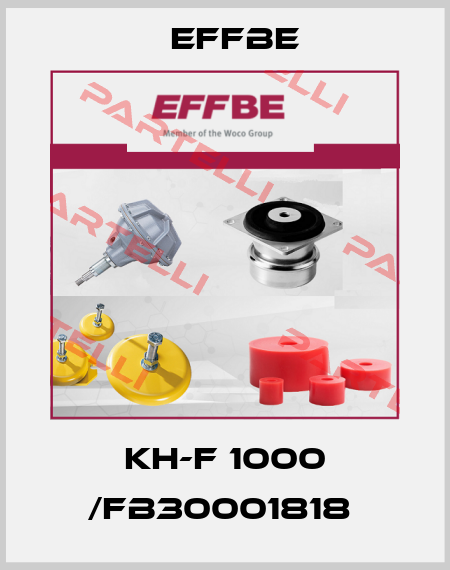 KH-F 1000 /FB30001818  Effbe