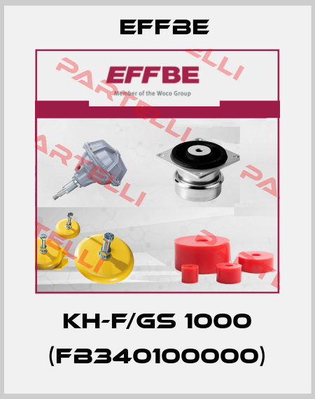 KH-F/GS 1000 (FB340100000) Effbe