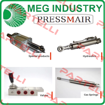 VSR/8X 1/8” BSP AISI316  Meg Industry (Pressmair)