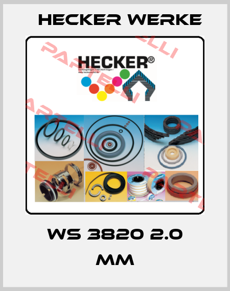 WS 3820 100-Pack  Hecker Werke