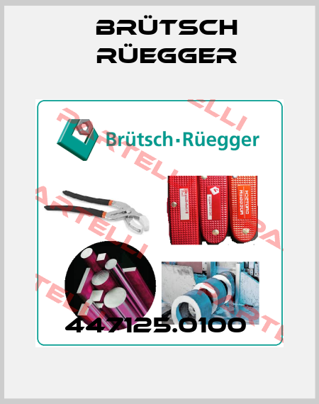 447125.0100  Brütsch Rüegger