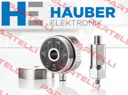 10106  SCHWINGUNGSUBERWACHUNG ATEX TYP 664.16.200.0  HAUBER