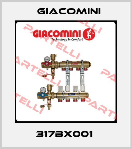 317BX001  Giacomini