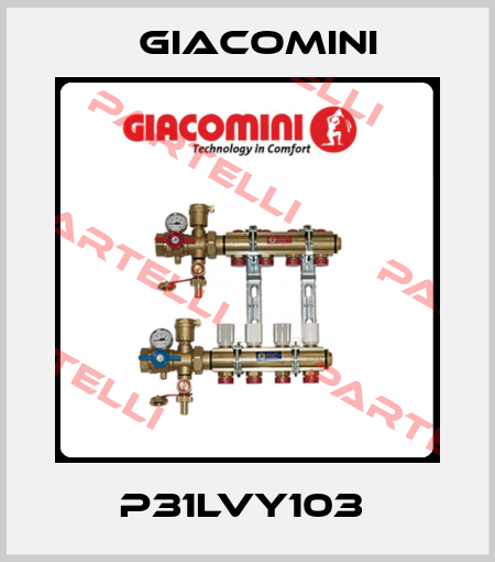 P31LVY103  Giacomini
