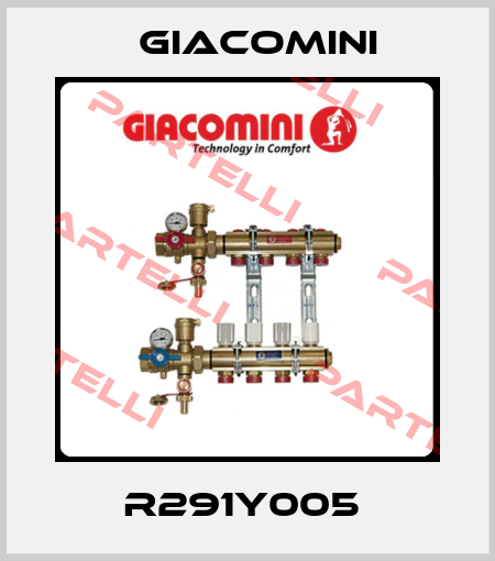 R291Y005  Giacomini