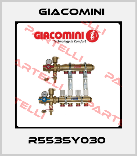 R553SY030  Giacomini
