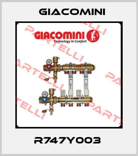 R747Y003  Giacomini