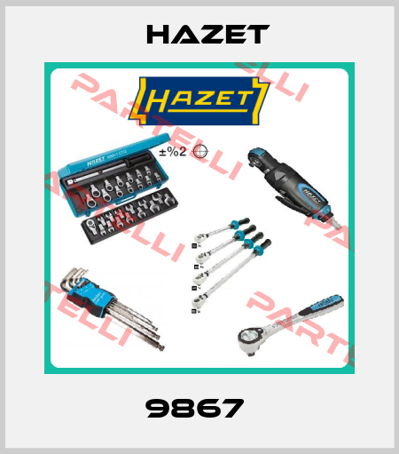 9867  Hazet
