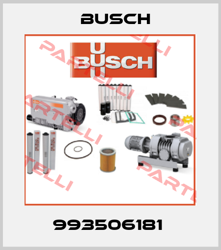 993506181  Busch