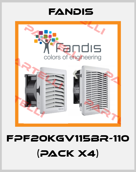 FPF20KGV115BR-110 (pack x4) Fandis