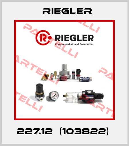 227.12  (103822)  Riegler