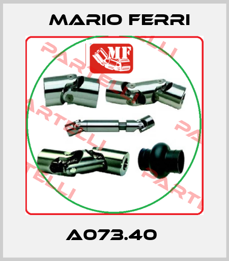 A073.40  Mario Ferri