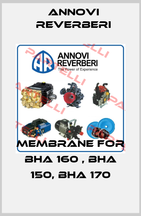 Membrane For BHA 160 , BHA 150, BHA 170 Annovi Reverberi