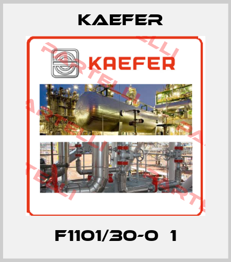 F1101/30-0б1 Kaefer