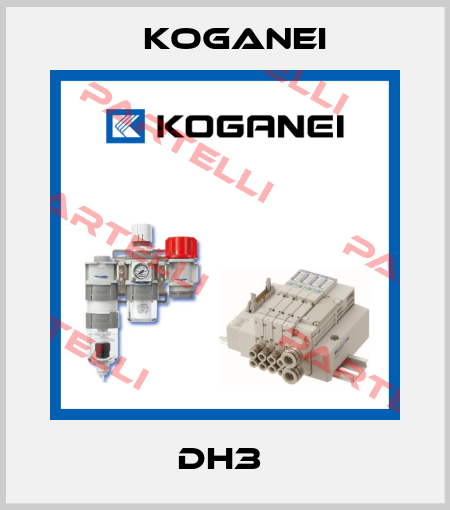 DH3  Koganei