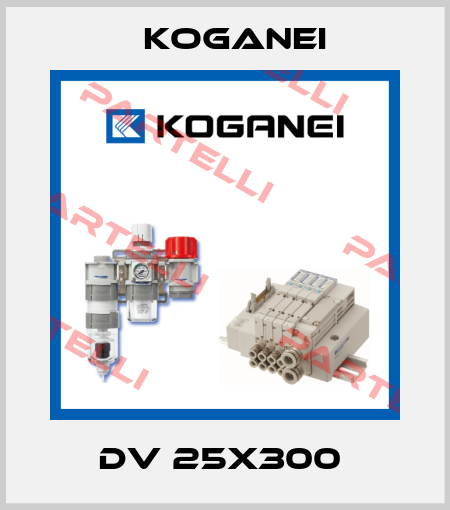 DV 25X300  Koganei