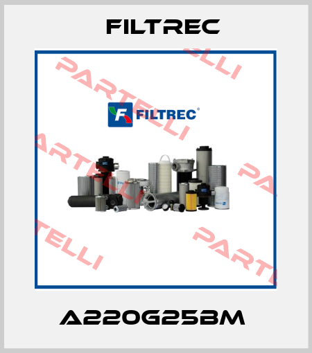 A220G25BM  Filtrec