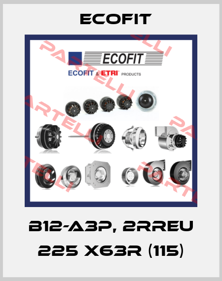 B12-A3p, 2RREu 225 x63R (115) Ecofit
