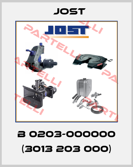 B 0203-000000 (3013 203 000) Jost