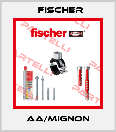 AA/MIGNON Fischer