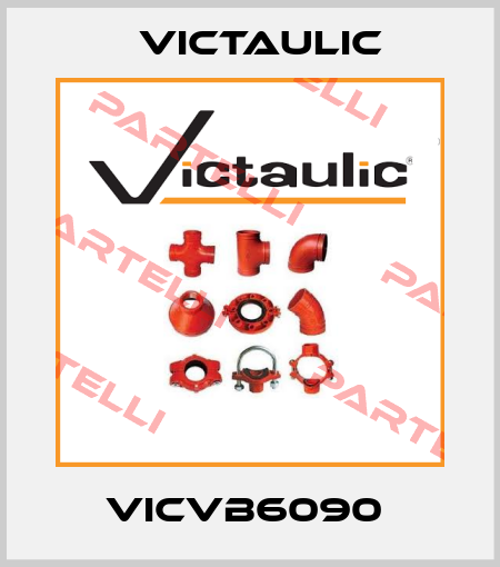 VICVB6090  Victaulic