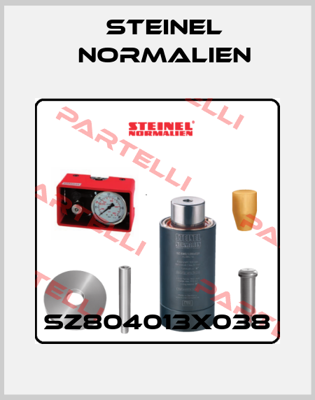 SZ804013X038 Steinel Normalien