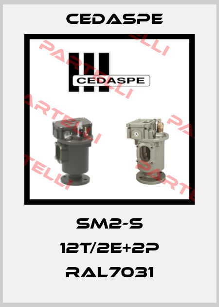 SM2-S 12T/2E+2P RAL7031 Cedaspe