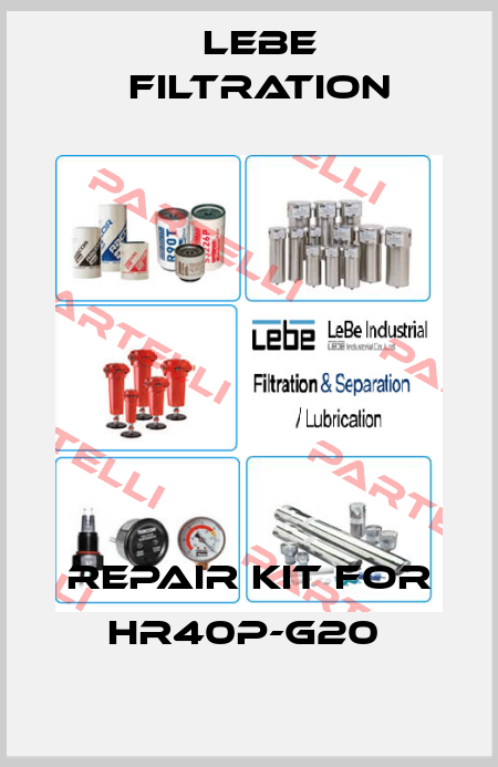 Repair kit for HR40P-G20  Lebe Filtration