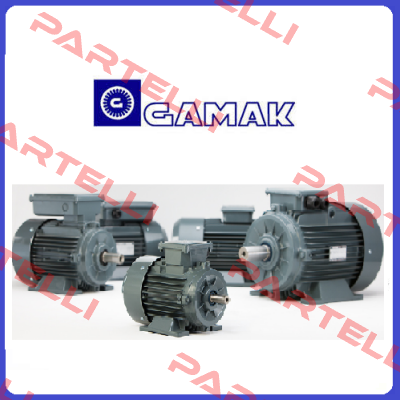 GM 160 Gamak