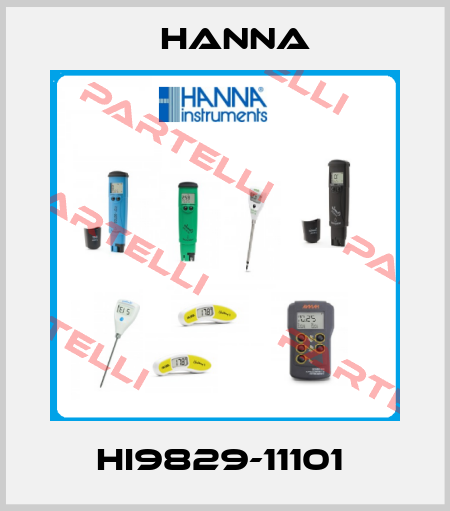 HI9829-11101  Hanna