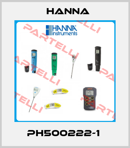 pH500222-1  Hanna
