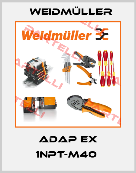 ADAP EX 1NPT-M40  Weidmüller