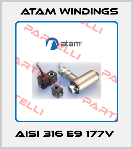 AISI 316 E9 177V  Atam Windings