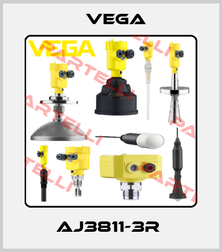 AJ3811-3R  Vega