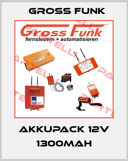 Akkupack 12V 1300mAh Gross Funk