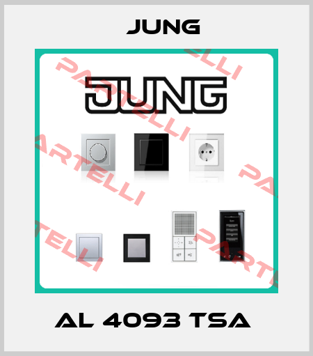 AL 4093 TSA  Jung