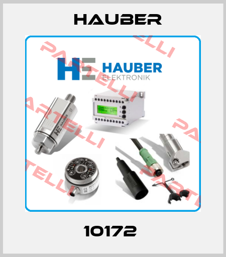 10172  HAUBER
